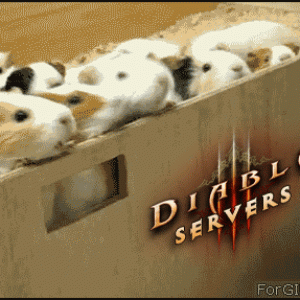 D3 Servers Under Attack
